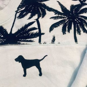 Victorias Secret brand PINK pale blue sweatshirt